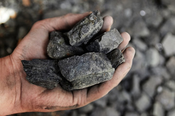 Man hand holding coal. coal mining.