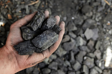 Man hand holding coal. coal mining.