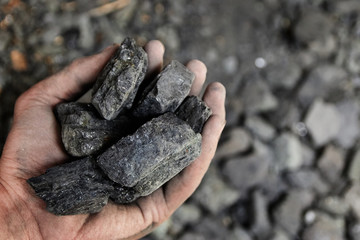 Man hand holding coal. coal mining.