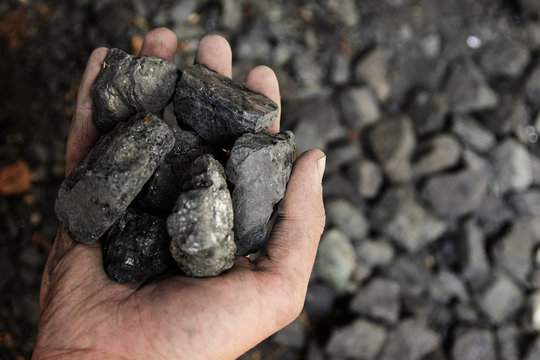 Man hand holding coal. coal mining.