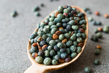 Citlembik / Northern Hackberry Seeds / Terebinth Berry / Celtis Occidentalis