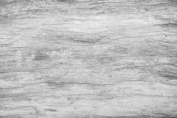 White wood pattern texture for background. Wood surface for texture design.