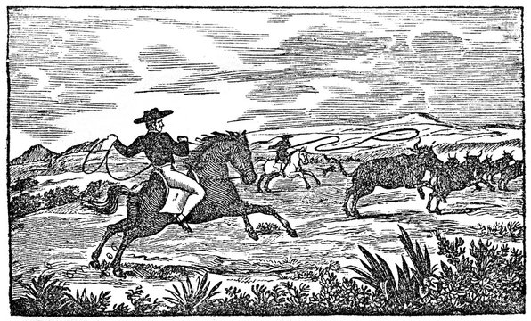 Lassoing on the prairie (from Das Heller-Magazin, May 24, 1834)
