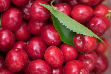 Top view of ripe red sweet cherries