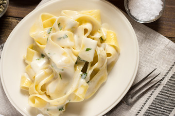 Fettuccine Pasta Plate with Creamy Alfredo Sauce