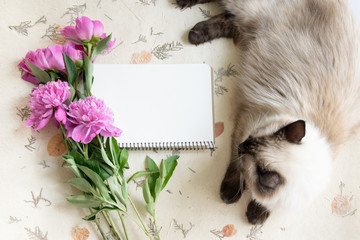 Mocup notebook with a clean sheet of pink peonies and Siamese cat