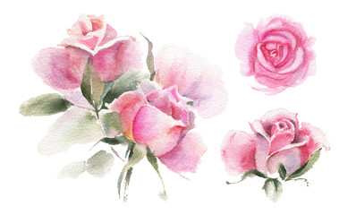 Watercolor flowers. Roses