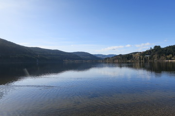 Spiegelung im Titisee im Schwarzwald