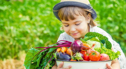 Child and  bio vegetables on the farm. Selective focus. 