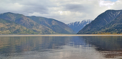 Fototapeta premium Teletskoe lake in the Altai Mountains in a rainy, rainy day,Russia