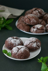 Chocolate biscuits with sugar powder