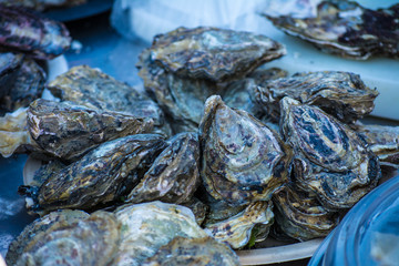 Many oyster shells are stacked on a platter and ready for consumption. Seafood close up view. Appetizing oysters.