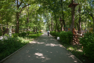 Rope Park Rope Bridges Ropes Insurance Ladders