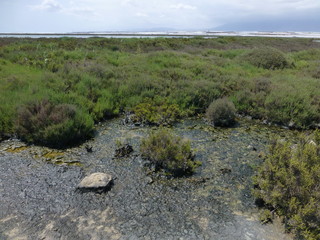 Punta Entinas Sabinar, paraje natural de costa y reserva natural situado en El Ejido y Roquetas de Mar, en la provincia de Almería (Andalucia, España)