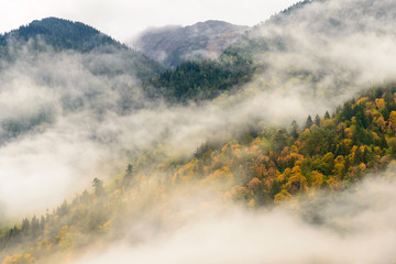 Chilliwack Lake Provincial Park in fog, Canada