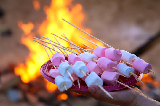  pile of delicious and sweet marshmallows on a stick in the background of a campfire