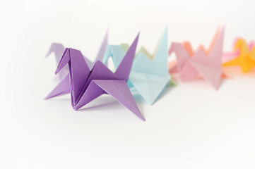 Multi-colored cranes of origami. To put a crane at a lesson of origami