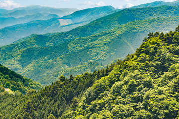 新緑の山