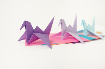 Multi-colored cranes of origami. To put a crane at a lesson of origami