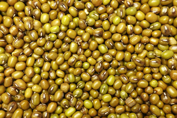 Green bean or mung bean background