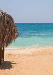 Fototapeta na wymiar Beach and palm trees, sunny day Cyprus