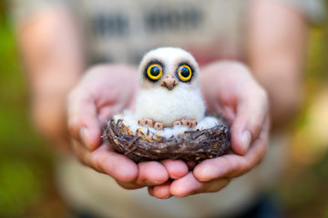 Handmade felt little owl in an autumn forest in man's hands in a sunny day