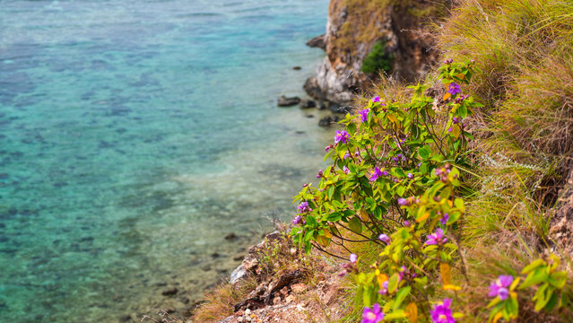 Coastline of Mararison island in the Philippines