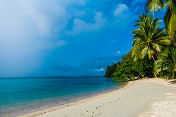 Typical tropical beach with white sand and palm trees