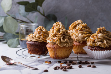 Fresh baked homemade cupcakes with coffee buttercream and caramel standing on cooling rack with eucalyptus branch and coffee beans above over white marble kitchen table.