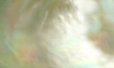 Abstract pearl background of blurred mother of pearl oyster shell close up