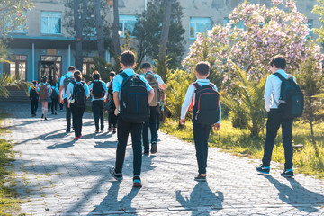 Group of kids going to school, education