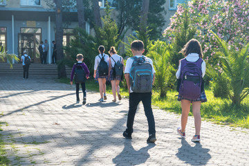 Group of kids going to school, education