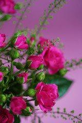 Bouquet of flowers with roses and other plants close up