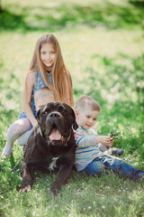 The children and  black dog sitting on the grass