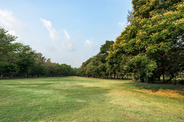 Green grass field in park at city center.