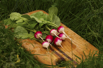 Radishes on Cutting Board
