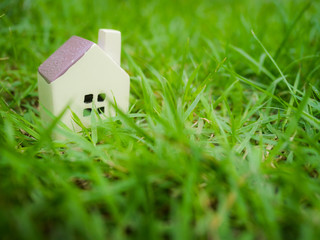 Small House model in green grass field.