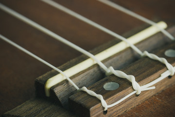 Ukulele bridge saddle and string. Suitable for background music articles.