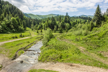 summer green mountain forest landscape with stream river