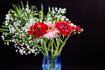color flowers