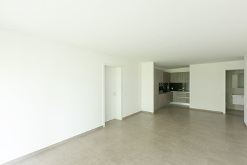 Interiors of modern apartment with white walls, kitchen