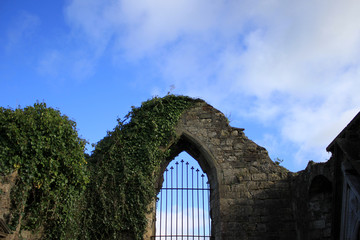 Abbey Ruins