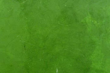 Wall texture background. Painted cement wall backdrop. Design element.