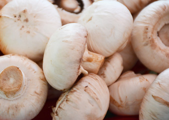 Fresh grilled vegetables