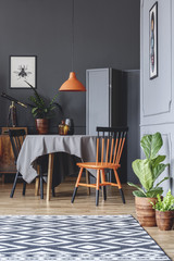 Dining room interior with a table, black and orange chairs, plants and patterned carpet