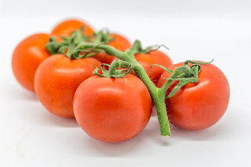 Red tomatoes on the vine, against a white background