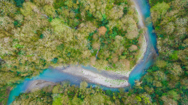 Top-down drone view of canyon and Khosta River in Yew and Box-tree Grove in spring day, Sochi, Russia
