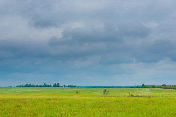 photo of a spring field in a rainy season, dark clouds in the sky