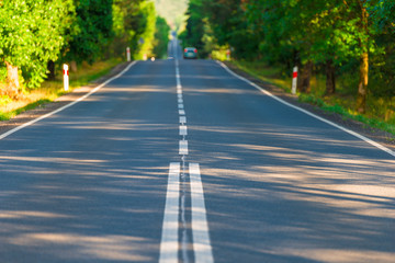 Obraz premium asphalt road in the shade of a tree on a sunny day