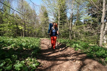 Tourist climbs with a backpack on a forest path